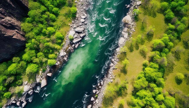 A highaltitude shot of a greencolored river for St Patricks Day