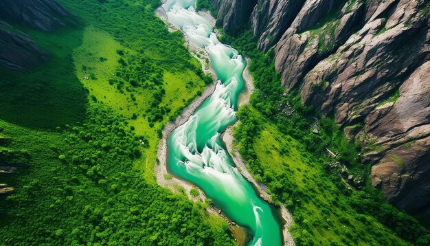 A highaltitude shot of a greencolored river for St Patricks Day