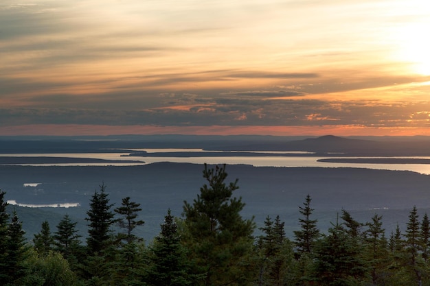 Highangle Photo of Forest Near Body of Water