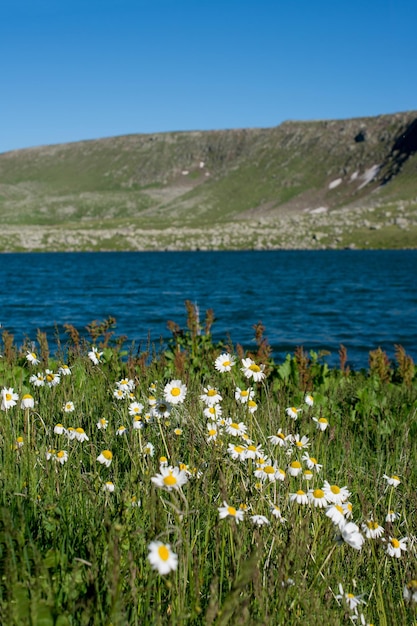 Highland lake in green natural background in Artvin