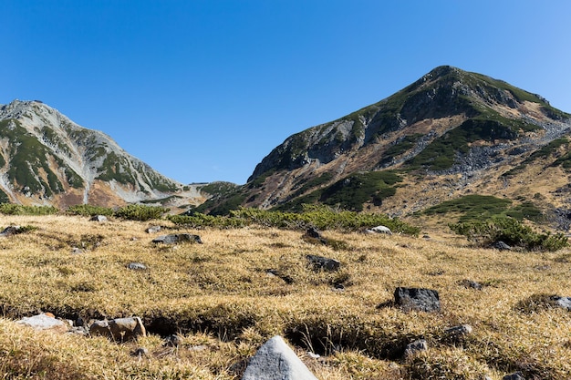 Highland in Mt.Tateyama