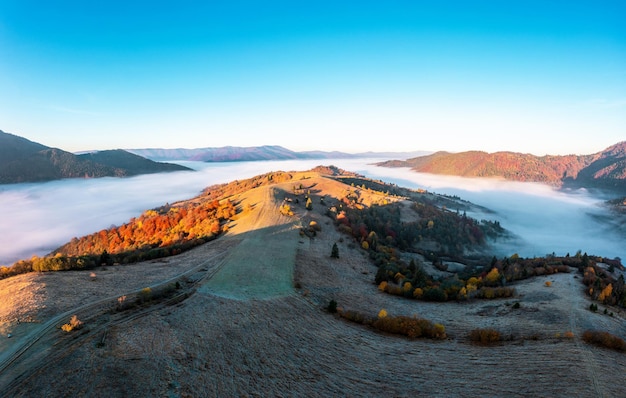 Highland with colorful forests covered with fog at sunrise