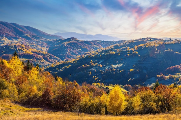 Highland with giant forestry mountains and grassy hills surrounded by heavy fog under blue sky in bright sunny morning in autumn