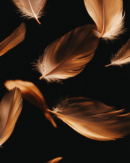 HighResolution Photo of Graceful Brown Feathers