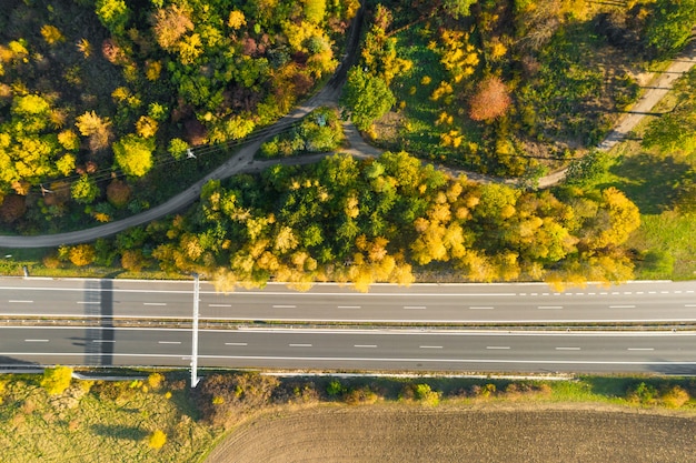 Highway between Autumn forest and cultivated ground with yellow trees at sunset in autumn. Aerial view of the traffic on speedway