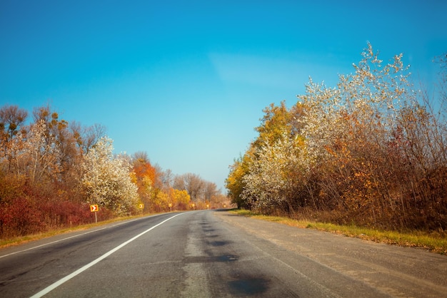 Highway on an autumn sunny day Natural landscape Trees grow along the road