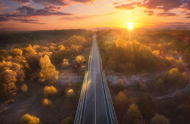 Highway road passing through the autumn forest with yellow foliage at sunrise. Aerial view.