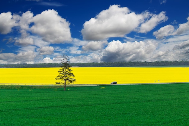 Highway through farm fields