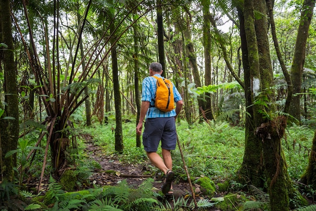 Hike in jungle