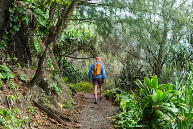 Hike in Na Pali coast in Kauai icland, Hawaii