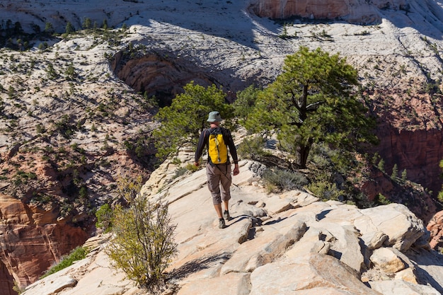 Hike in Zion National Park