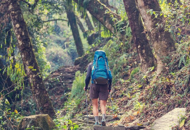 Hiker in Himalayan jungles, Nepal, Kanchenjunga region