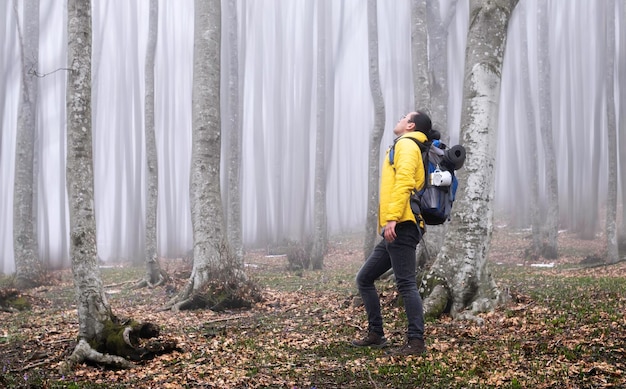 Hiker man observing the mysterious forest on a foggy day with heavy backpack for camping