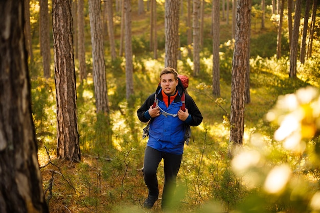 Hiker man walks in a pine yellow autumn forest Backpacker enjoys golden fall landscape