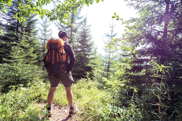 Hiker in the mountains