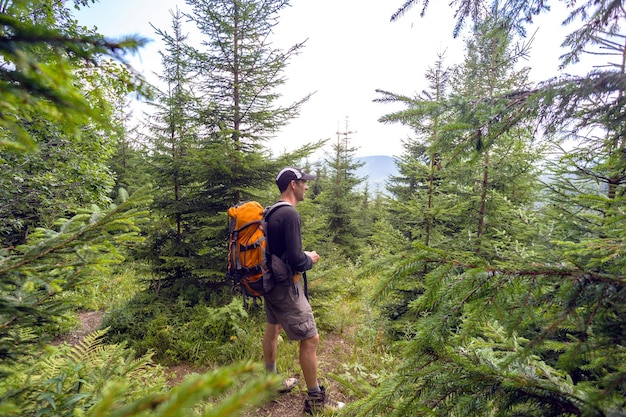 Hiker in the mountains