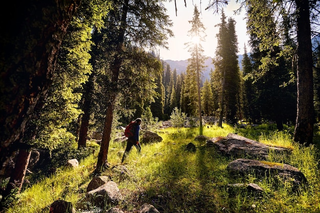 Hiker in the mountains