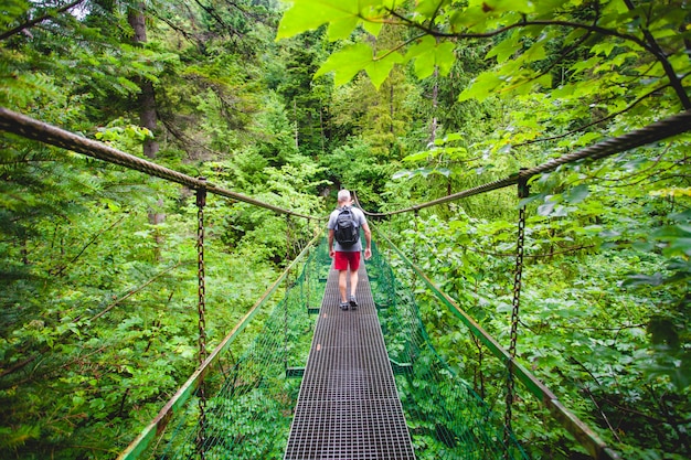 Hiker on the suspension bridge. The Tatras.