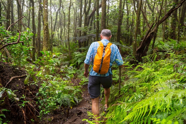 Hiker on the trail in green jungle, Hawaii, USA