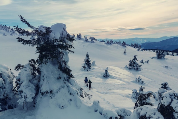 Hiker with snowshoes in winter