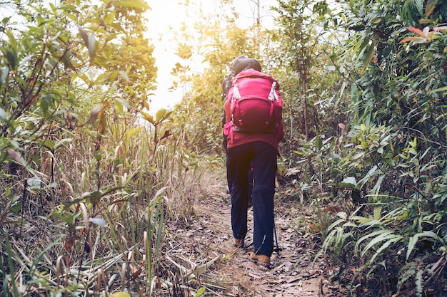 Hiker young woman walking to peak mountain in rainforest