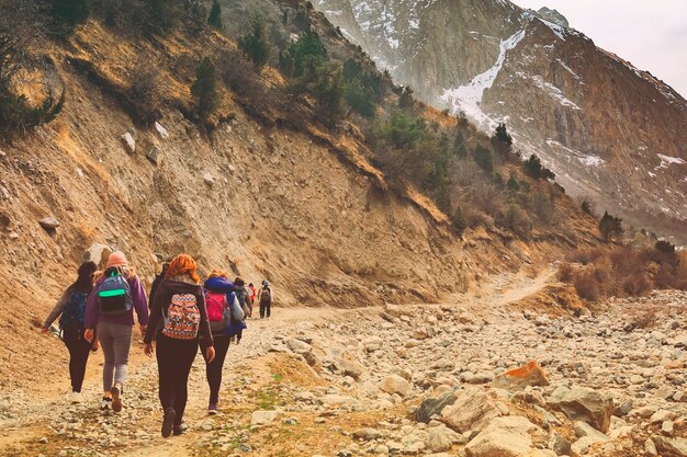 Hikers in the mountains. Group of friends or tourists walks at mountains viewpoint. 