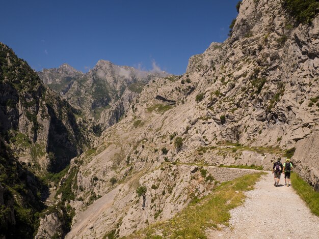 Hikers walking throug the mountains