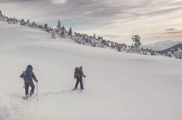 Hikers in the winter mountains