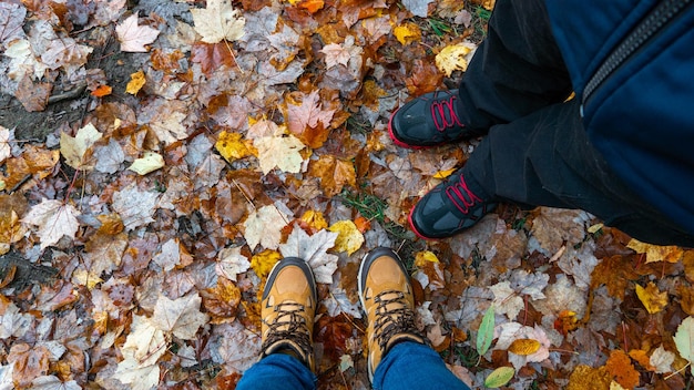 Hiking boots on top of colorful fall tree leaves