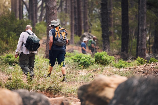 Hiking fitness and people walking in forest for adventure freedom and wellness in woods Travel outdoors and group of men hikers in natural environment for exercise trekking and cardio workout