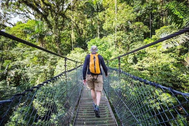 Hiking in green tropical jungle, Costa Rica, Central America