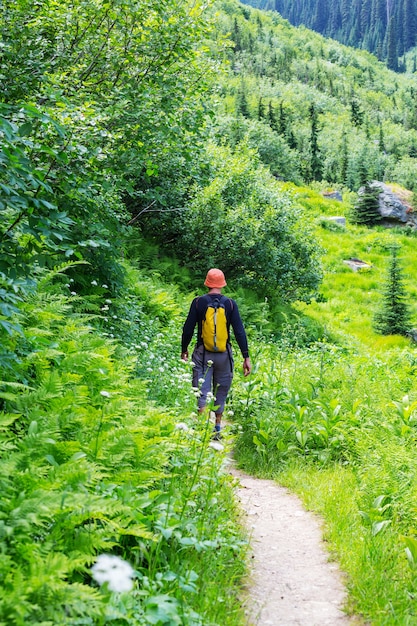 Hiking man in Canadian mountains. Hike is the popular recreation activity in North America. There are a lot of picturesque trails.