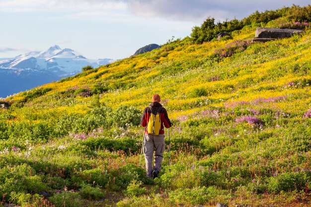 Hiking man in Canadian mountains. Hike is the popular recreation activity in North America. There are a lot of picturesque trails.