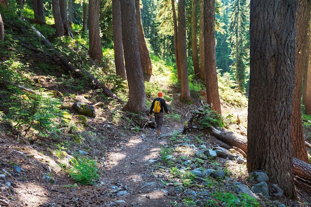 Hiking man in the mountains