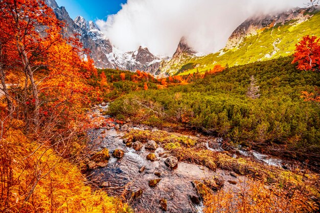 Hiking in national park High Tatras HiIking from white lake to Green lake in the mountain landscape Zelene pleso Slovakia