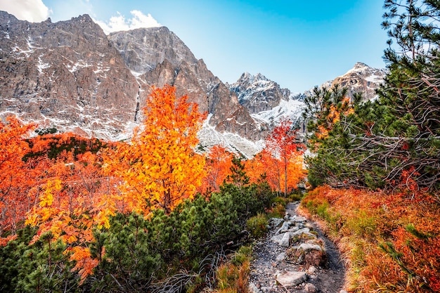 Hiking in national park High Tatras HiIking from white lake to Green lake in the mountain landscape Zelene pleso Slovakia