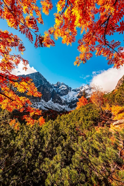 Hiking in national park High Tatras HiIking from white lake to Green lake in the mountain landscape Zelene pleso Slovakia