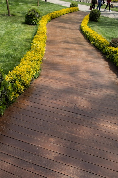 Hiking path for walking in view