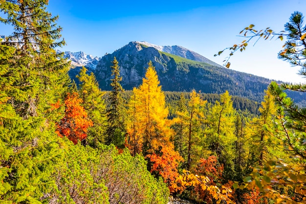 Hiking Strbske lake to popradske lake very popular hiking destination in High Tatras National park Slovakia Autumn color nature