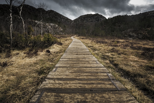 Hiking trail and alpine landscape 