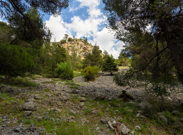 Hiking trail in the mountain gorge of Agali on the island of Evia in Greece