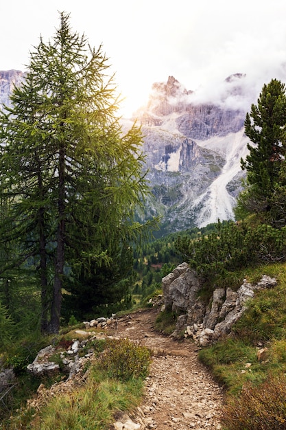 Hiking trail in the mountains Dolomites, Italy. San Martino di Castrozza