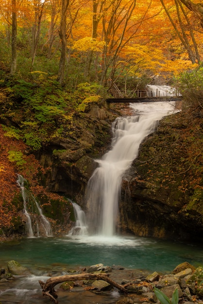 Hiking trail near a river in autumn