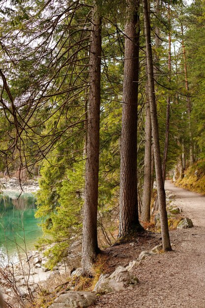 Hiking trail on the shore of a mountain lake