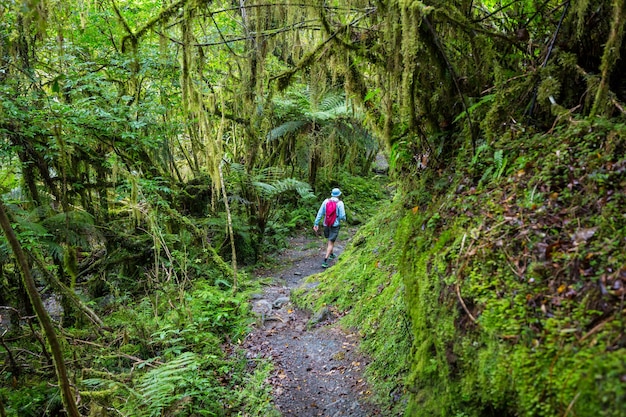 Hiking and tramping in New Zealand. Hiking and adventure concept