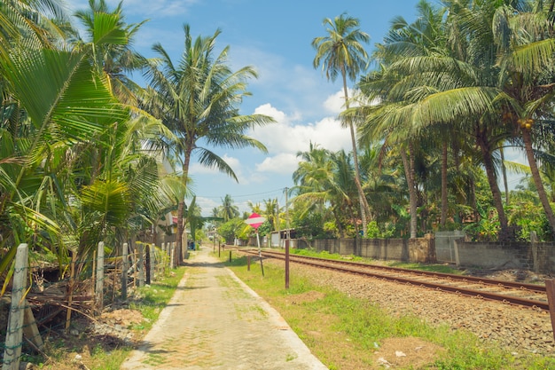 Hikkaduwa, Sri Lanka. Railway.