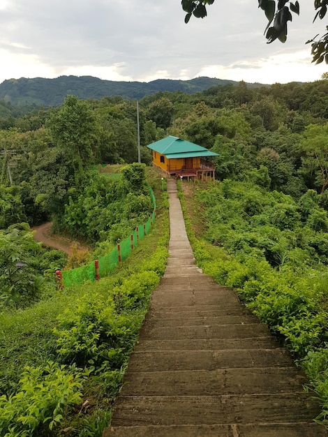 Hill top house in nature