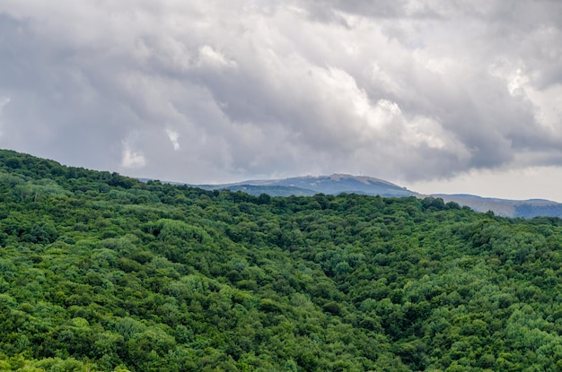 Hills covered with forest on the background of clouds.