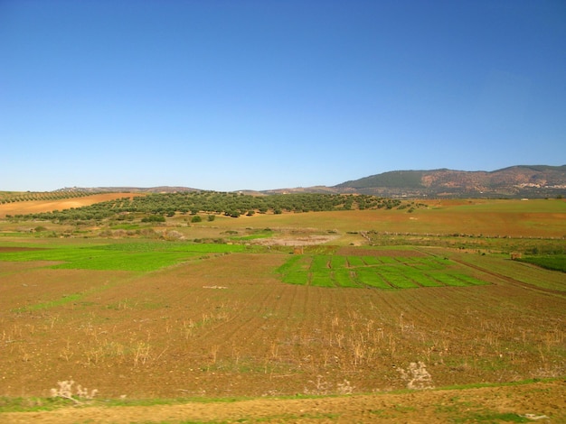 Hills and fields in Morocco country