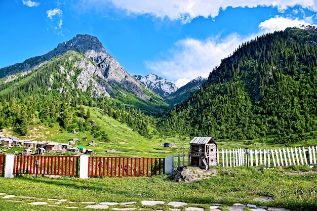 Hills and Forest Landscape